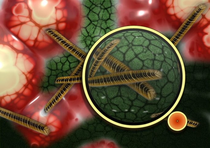 bacteria, bacterial species, imitation