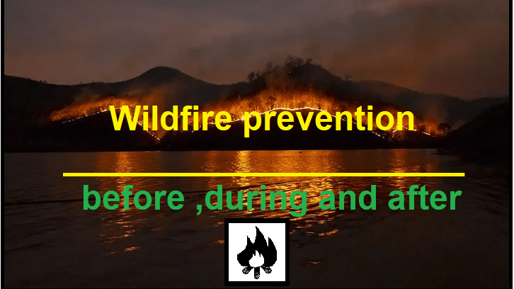 wildfire prevention