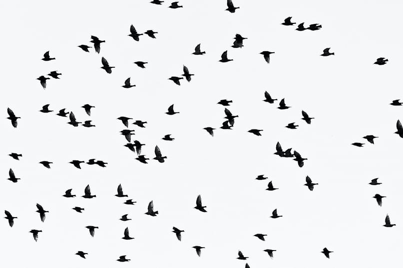 A DETERRENT SYSTEM SAVE 1 MILLION BAT