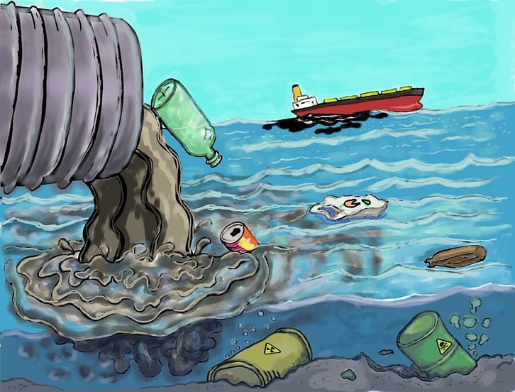 The Degradation of the environment